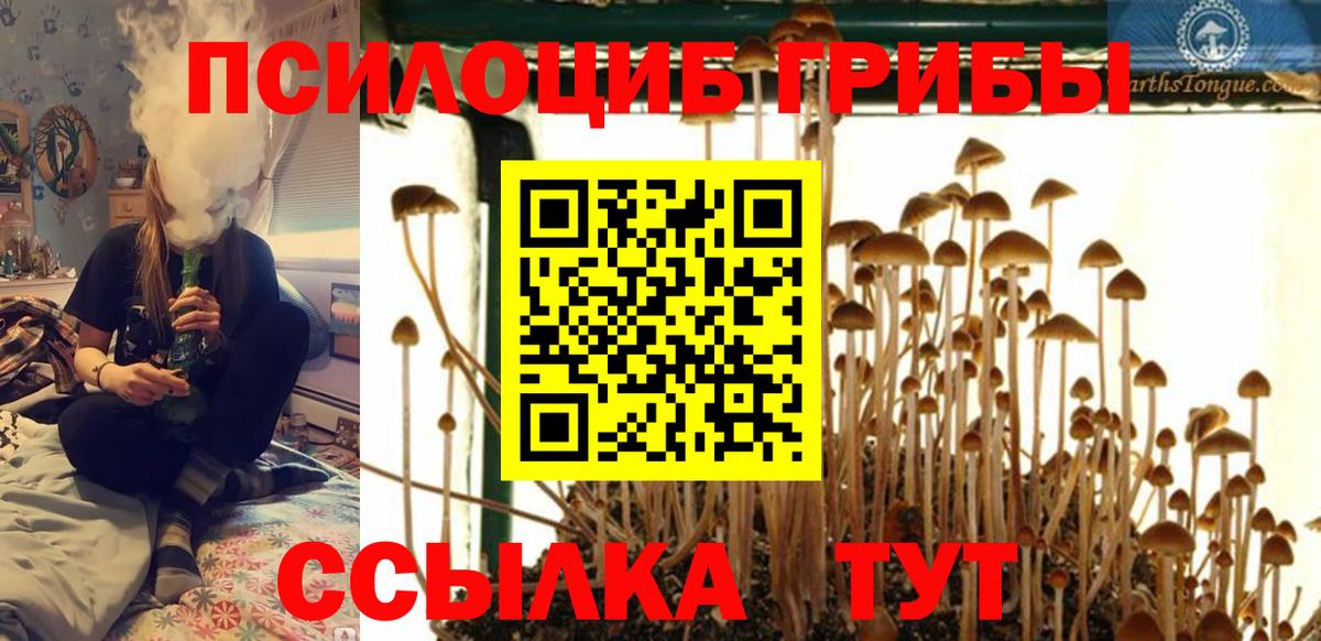 Лабытнанги  Галлюциногенные грибы Cubensis  Вход с VPN  Галлюциногенные грибы Magic Shrooms 